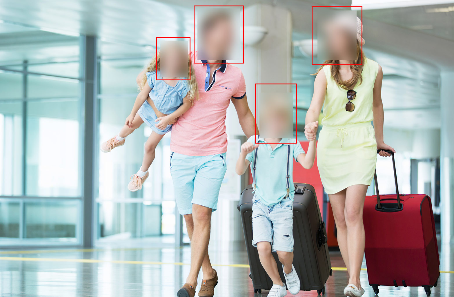 SeVA GDPR • Softrust Vision Analytics